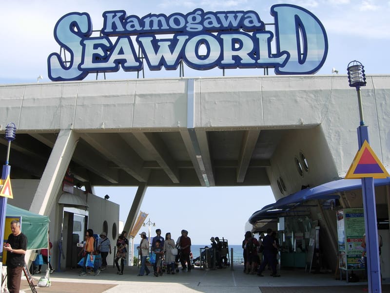 Kamogawa Sea World (鴨川シーワールド)