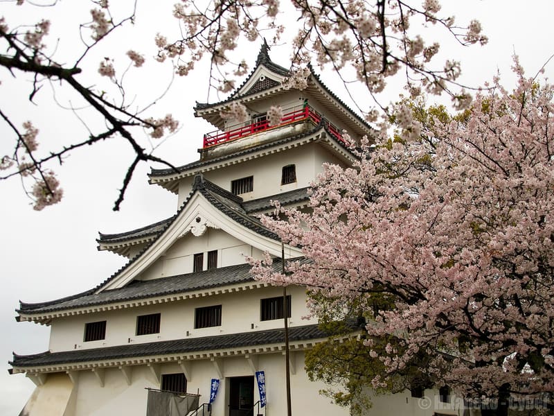 Castello di Karatsu (唐津城)