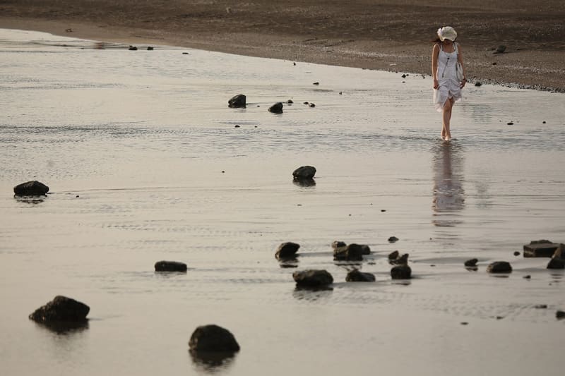 Kasai Marine Park