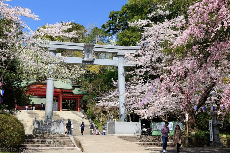 Katori Shrine (Katori Jingū)