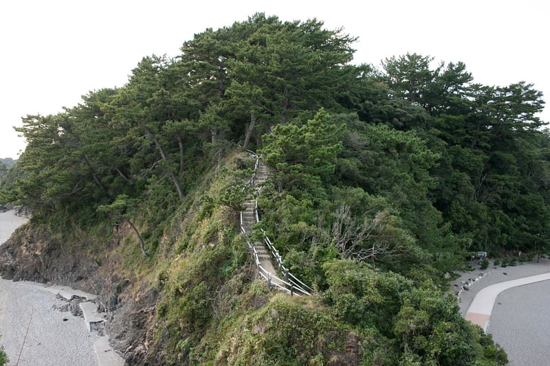 桂浜