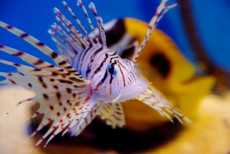 桂浜水族館