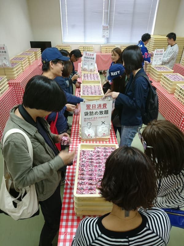 桔梗信玄餅工場主題樂園