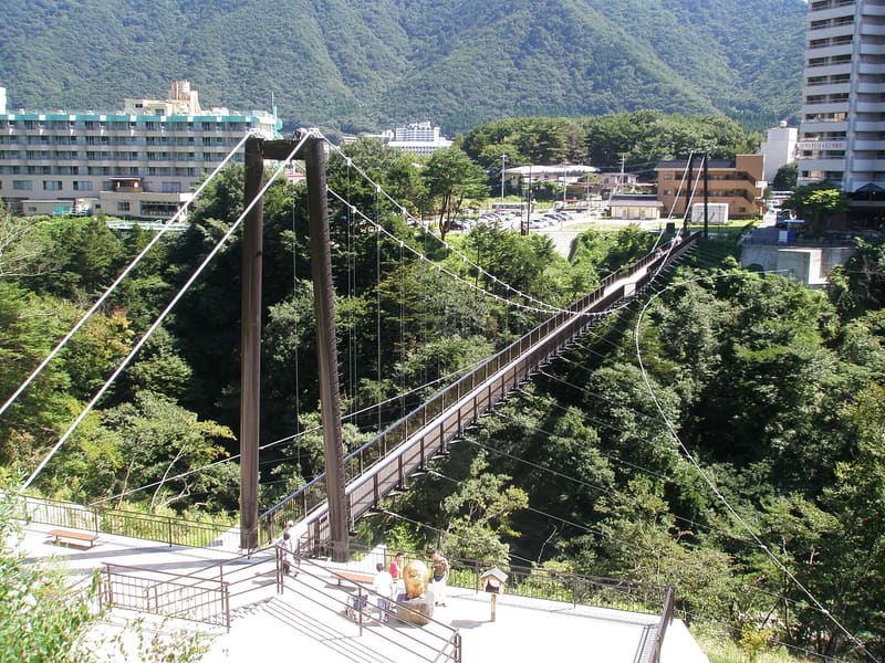 Ponte sospeso Kinu-Tateiwa
