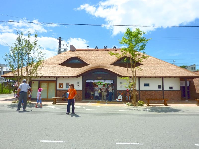 Stazione di Kishi, il treno del gatto (貴志駅・たま駅長)