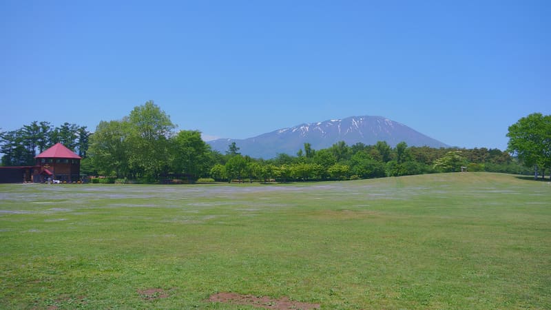 小岩井農場