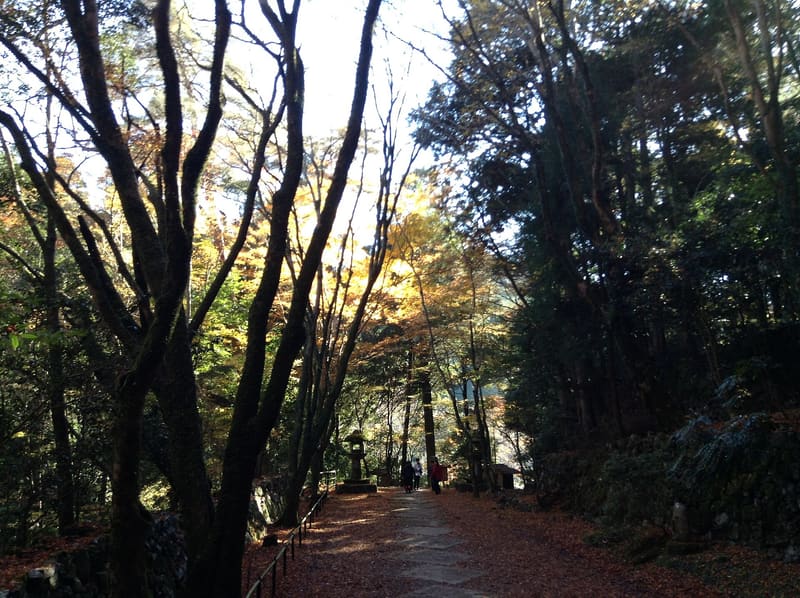 高山寺