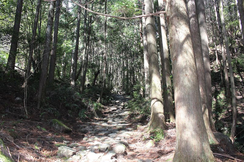 馬越峠 — 熊野古道伊勢路