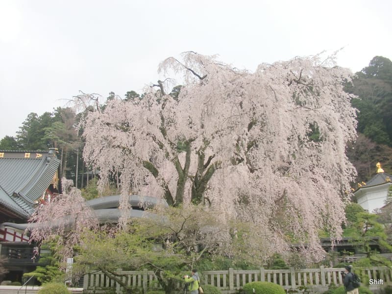 Kuon-ji (Minobusan)