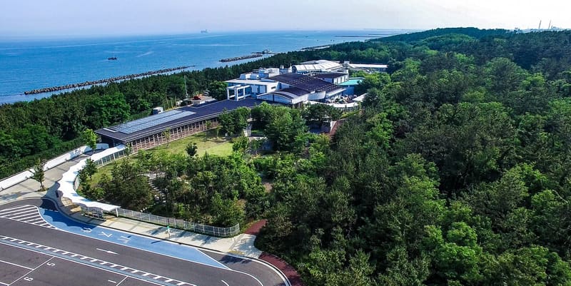 新潟市水族館 — Marinpia 日本海