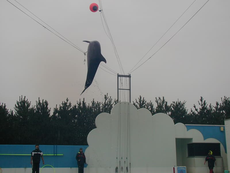 新潟市水族館 — Marinpia 日本海
