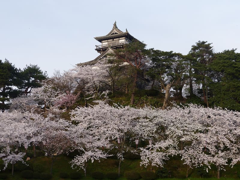 丸岡城
