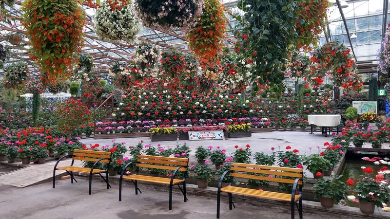 Matsue Vogel Park — flower and bird park (松江フォーゲルパーク)