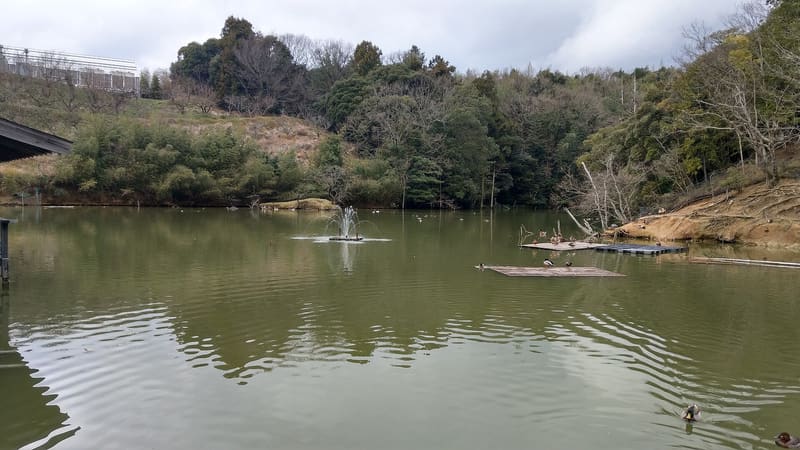 Matsue Vogel Park — flower and bird park (松江フォーゲルパーク)