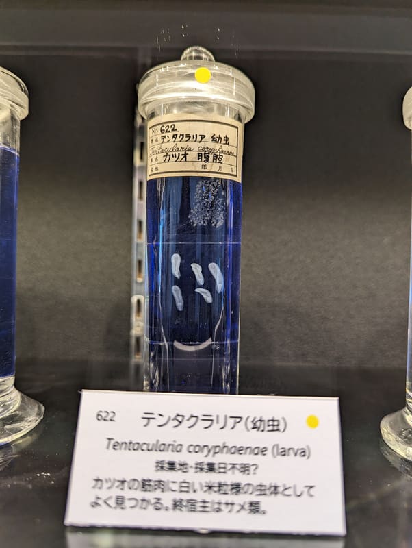 Museo di parassitologia di Meguro