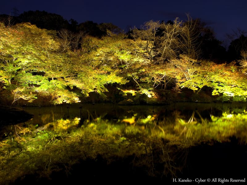 Mifuneyama Rakuen (御船山楽園)