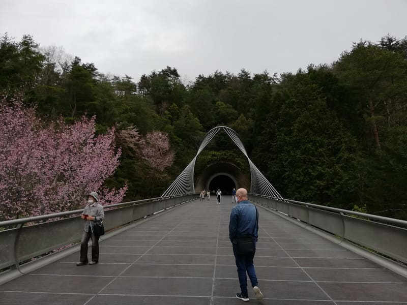 Miho Museum (ミホミュージアム)