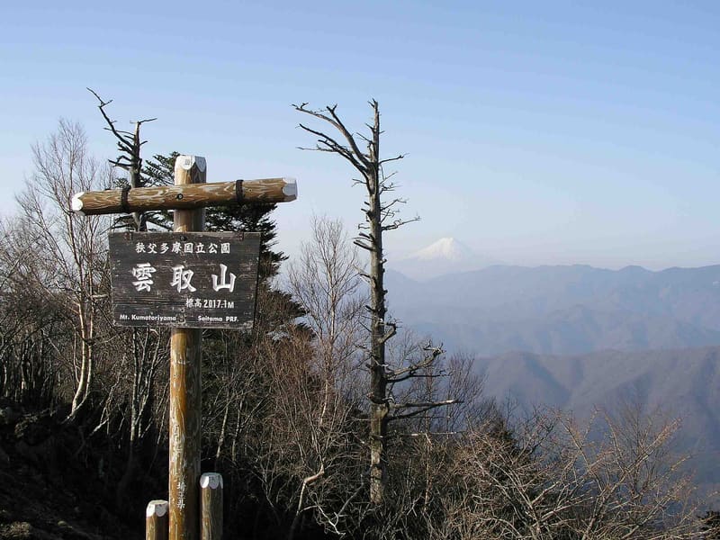 Monte Kumotori (雲取山)