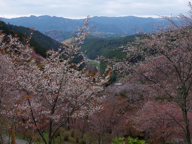 Mount Yoshino