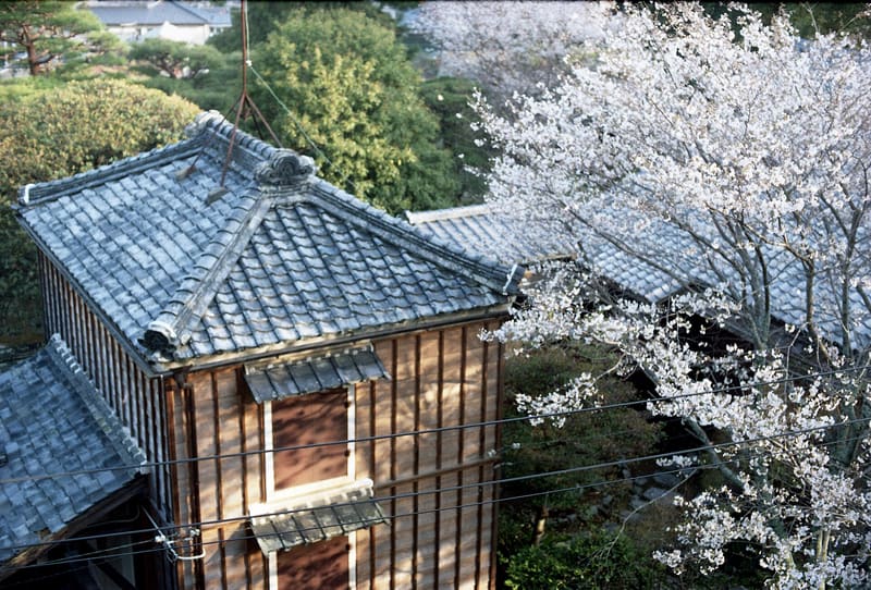 本居宣長記念館