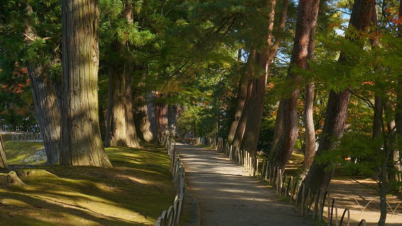 Mōtsū-ji (毛越寺)