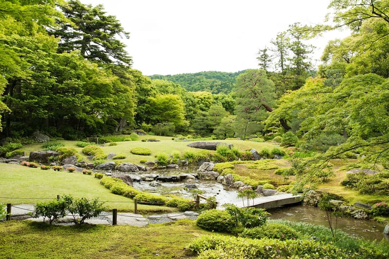 Murin-an