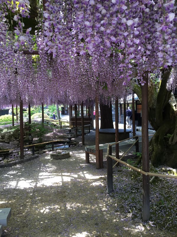 北方文化博物館