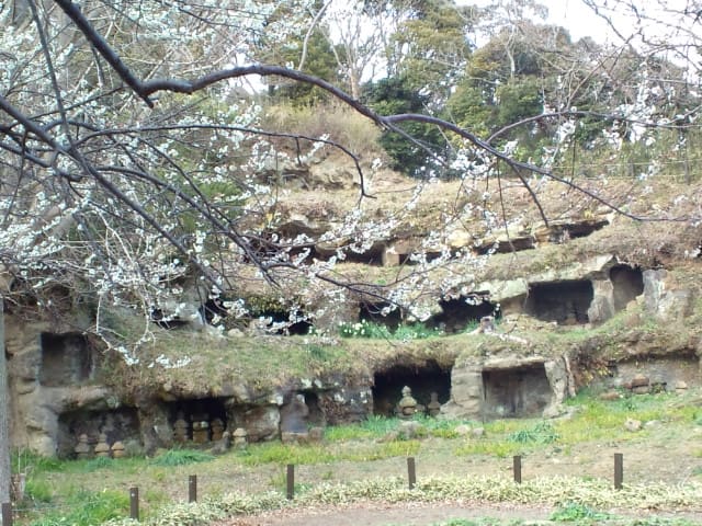名越切通與 Mandara 堂 yagura 群