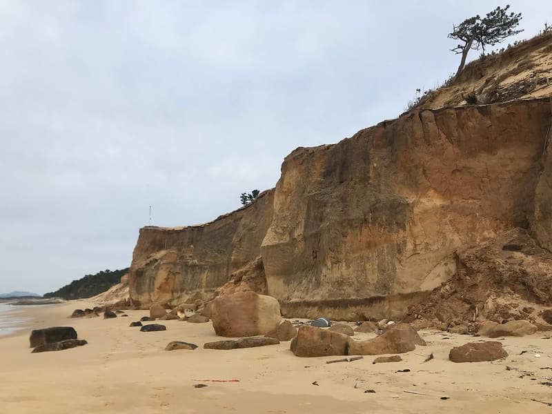 奈多海岸