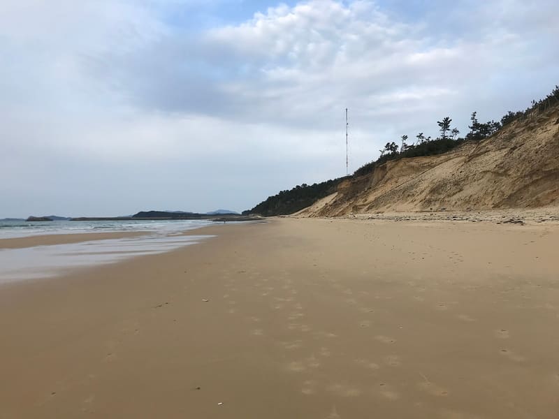 奈多海岸