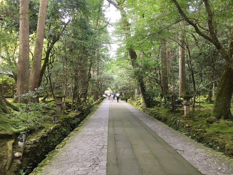 Natadera
