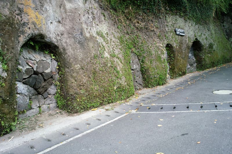 二王座歷史之道