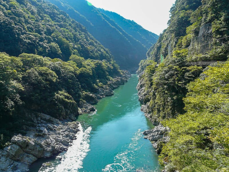 Oboke Gorge (大歩危峡)