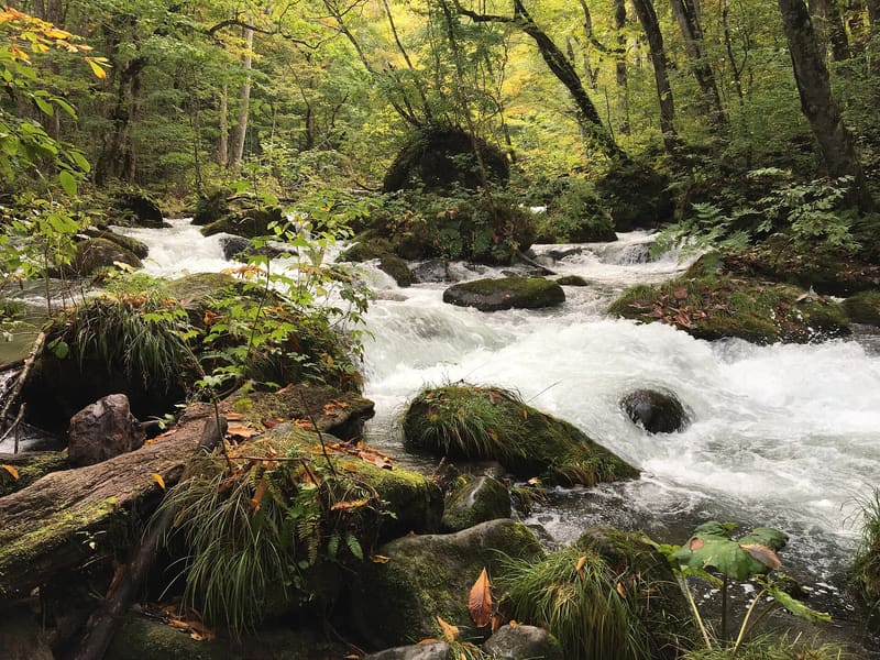 Oirase Gorge (Ishigedo)