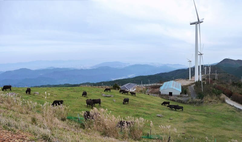 大川原高原