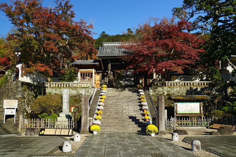 修善寺溫泉、寺院與竹林之小徑(修善寺温泉・竹林の小径)