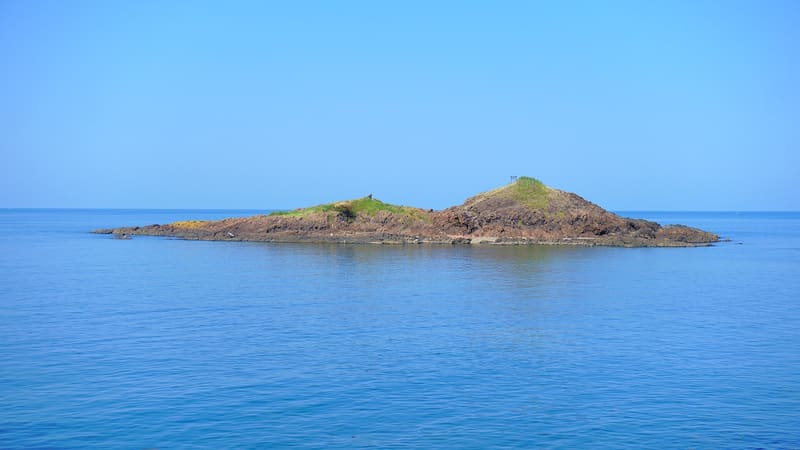 Oshima Island (Sakai)
