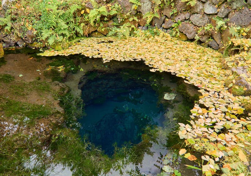忍野八海