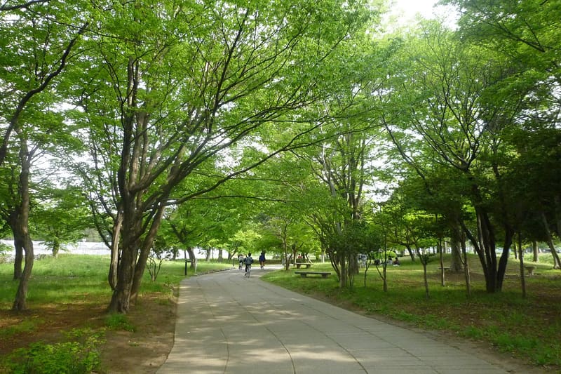 Sakitama Kofun Park (さきたま古墳公園)