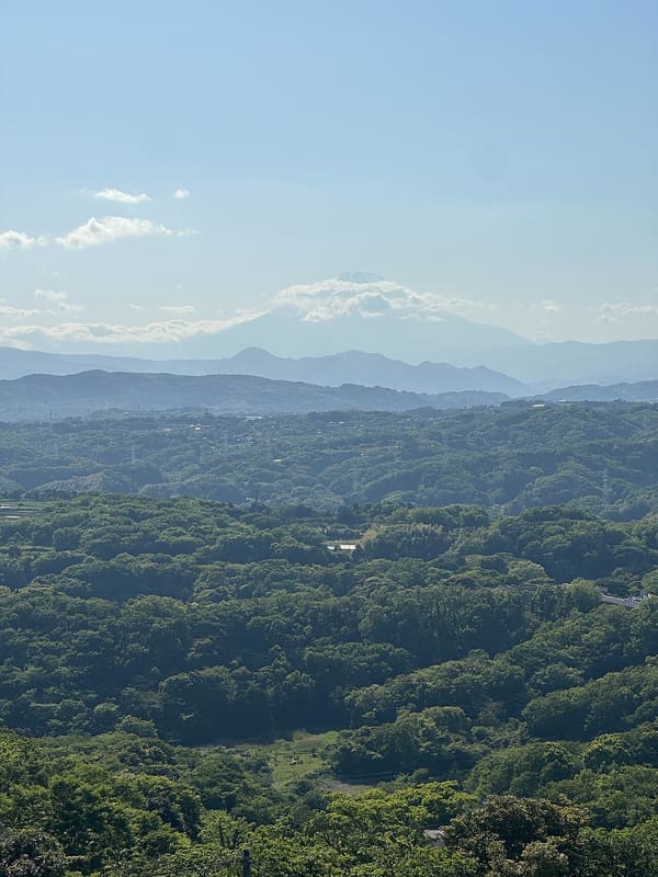 高麗山公園(湘南平)
