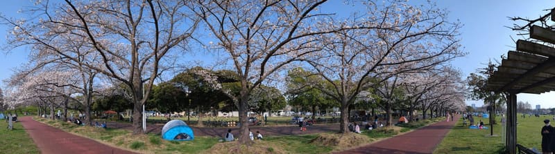 Parco di Misato