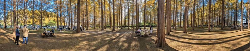 Parco Mizumoto