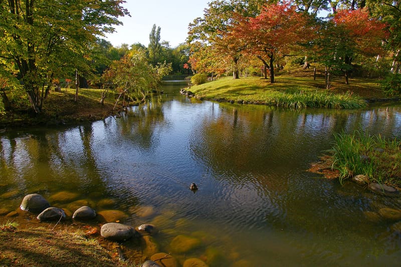 中島公園(日本庭園・八窓庵)
