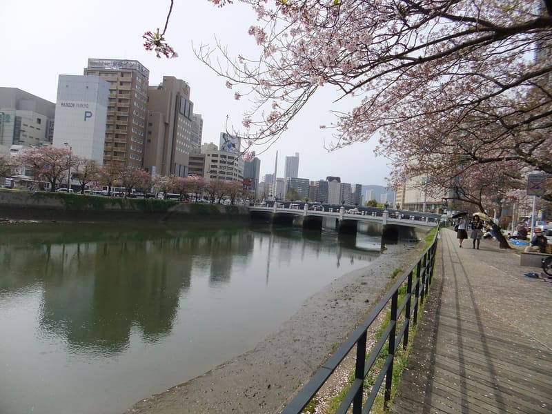 猿猴橋
