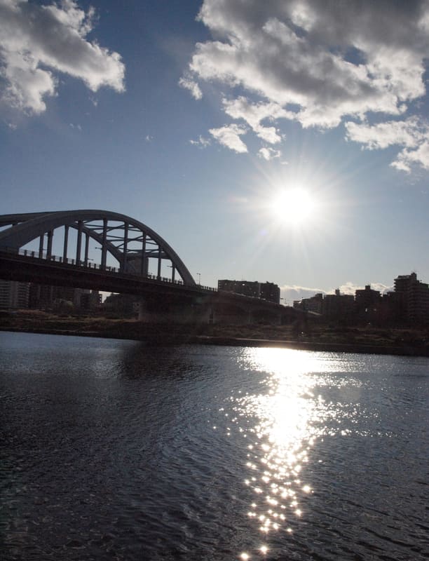 Ponte Marukobashi (丸子橋)
