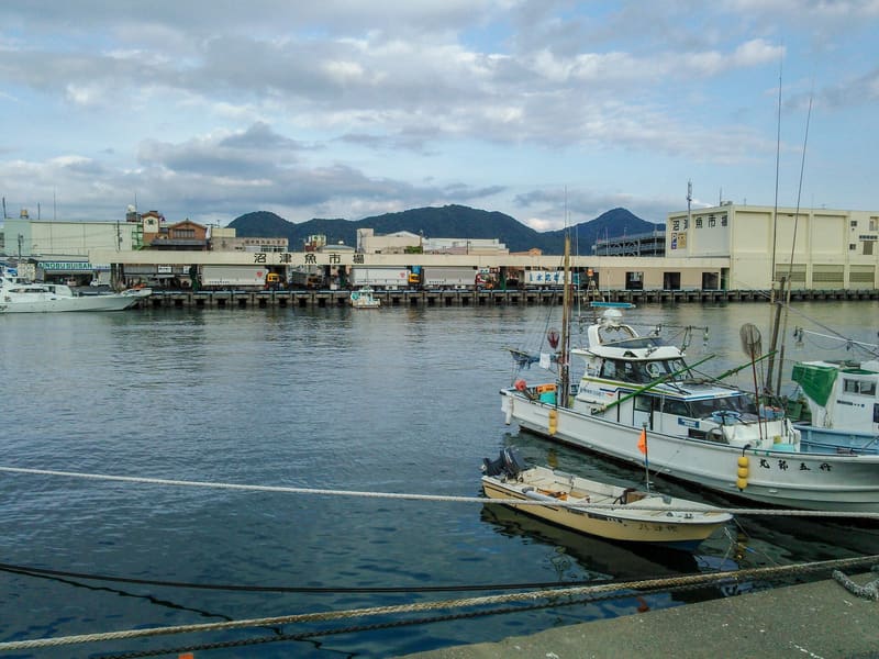 沼津港