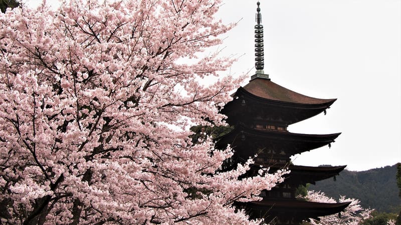 瑠璃光寺五重塔