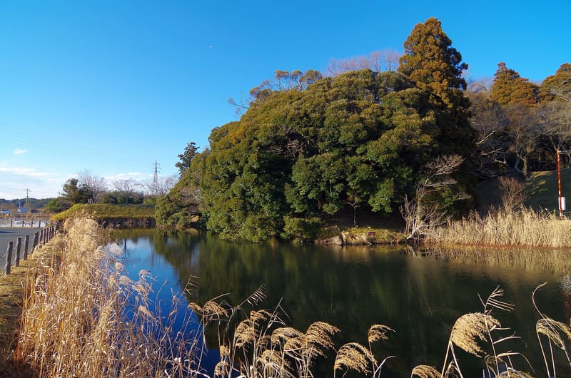 Sakura Castle Ruins Park