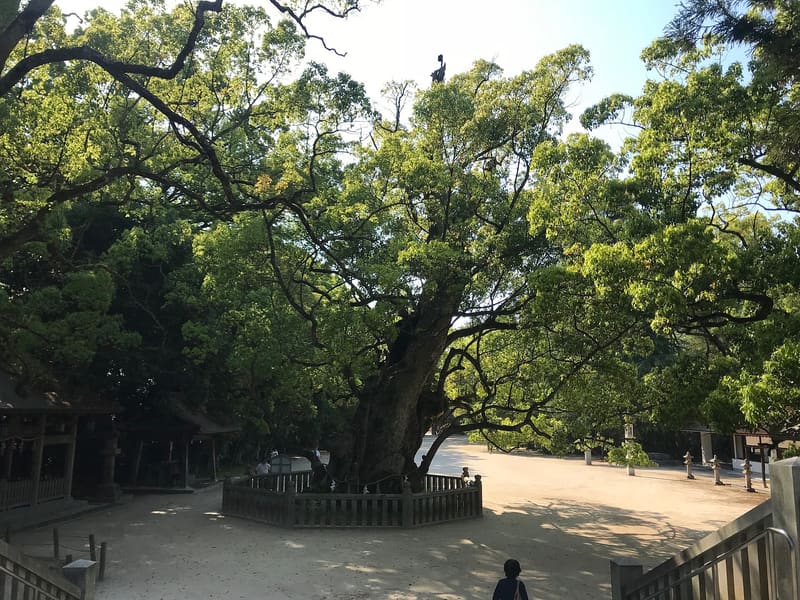 Santuario Ōyamazumi (大山祇神社)
