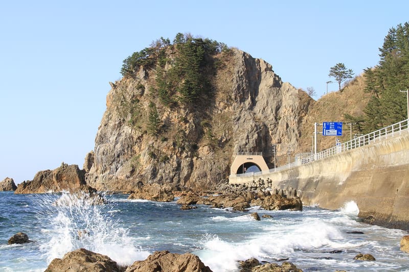 笹川流